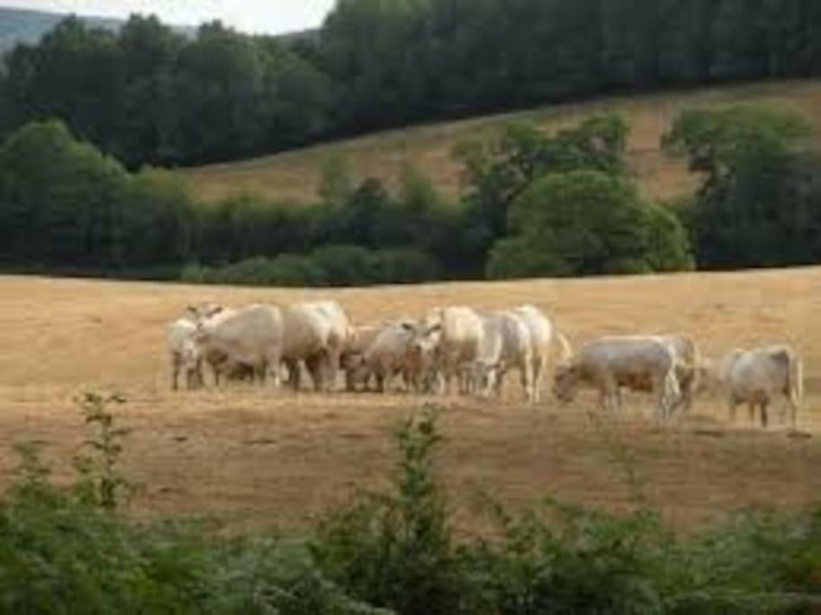 La Ferme Des Pierrettes Villa Menneville Eksteriør billede