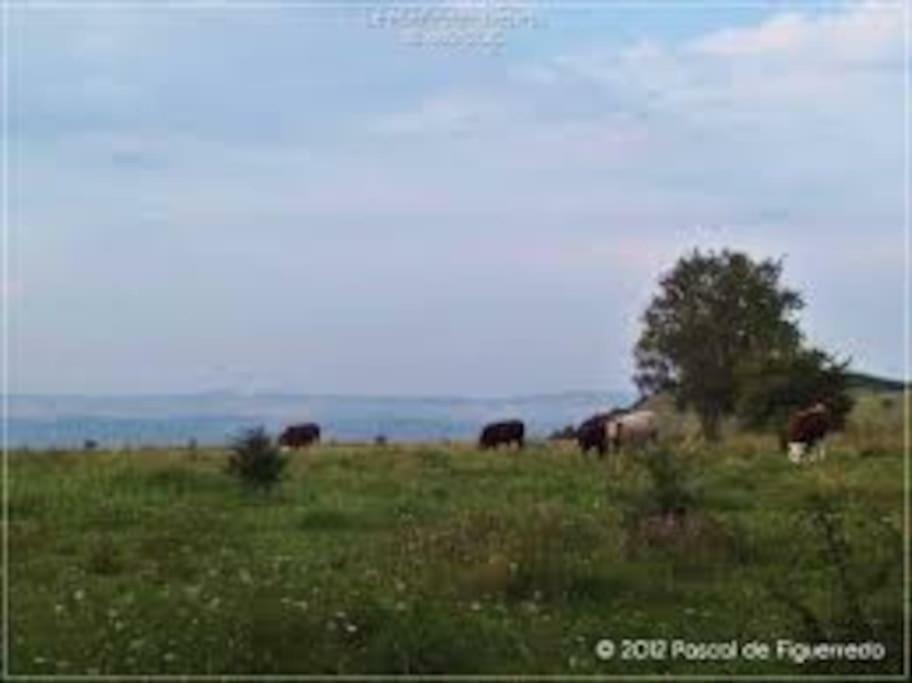 La Ferme Des Pierrettes Villa Menneville Eksteriør billede